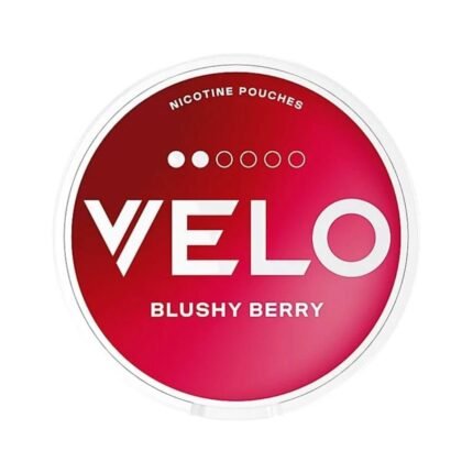 VELO Blushy Berry Nicotine Pouches in UAE 6 MG pack of 20